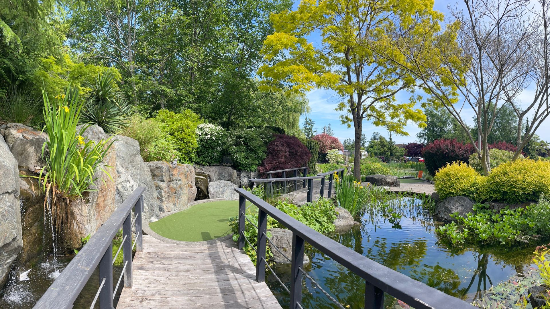 Island View Farm & Mini Golf photo 6